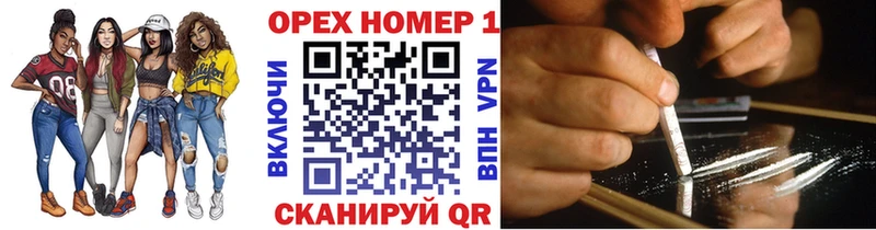 даркнет Telegram  Можга  COCAIN Эквадор 