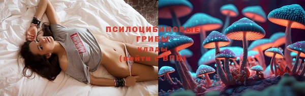 мяу мяу мука Арсеньев
