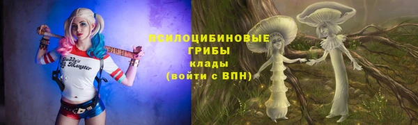 мяу мяу мука Арсеньев