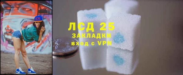 стаф Алексин