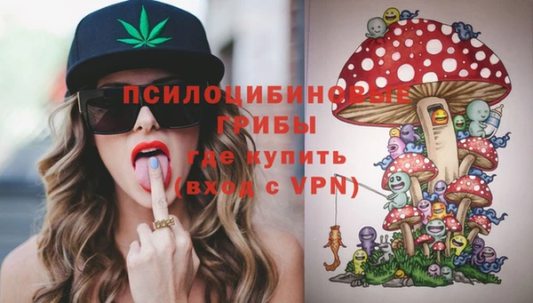 стаф Алексин